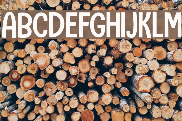 Camping Holiday DEMO Regular Font examples