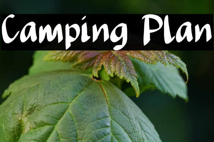 Camping Plan Example 3