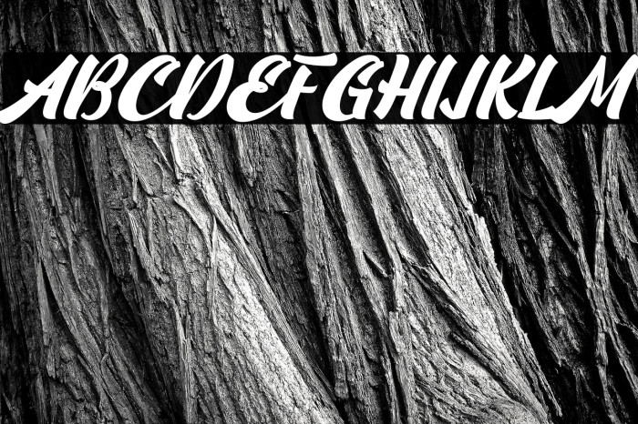 Camping-Regular Example 2