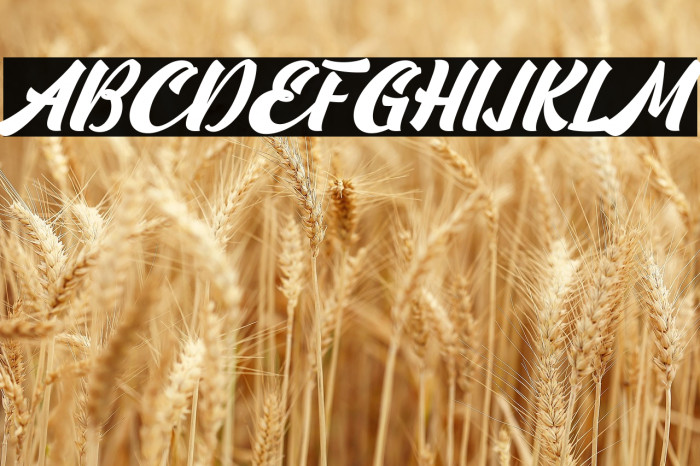 Camping-Regular Example 3