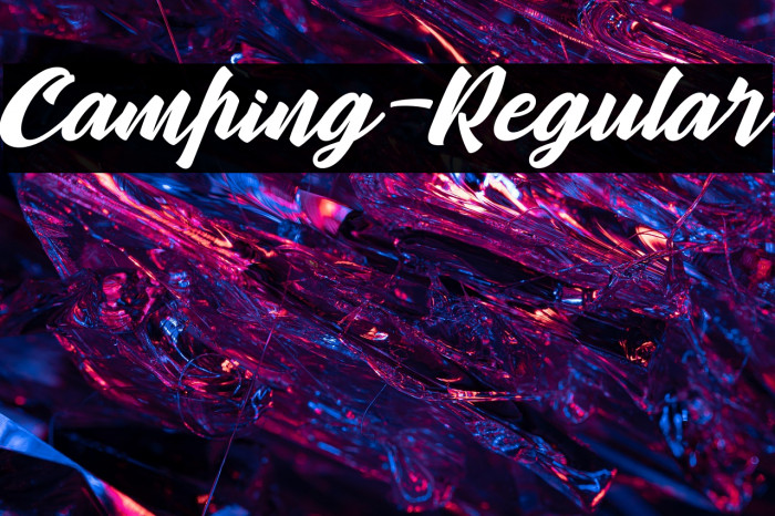 Camping-Regular Example 1