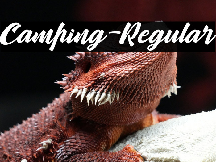 Camping-Regular Example 3