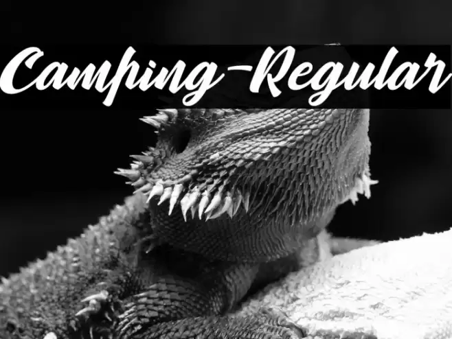 Camping-Regular Font examples