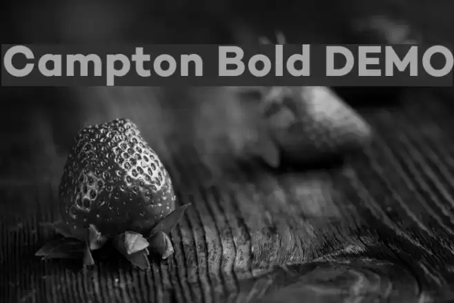 Campton Bold DEMO Font examples