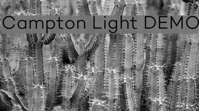 Campton Light DEMO Font examples