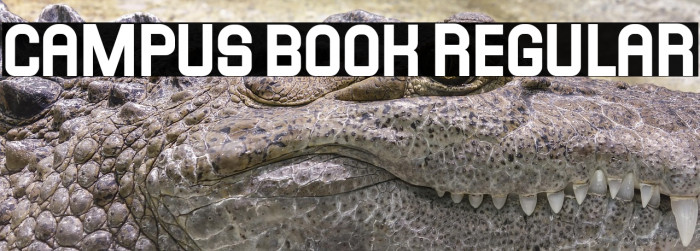 Campus Book Regular Example 2