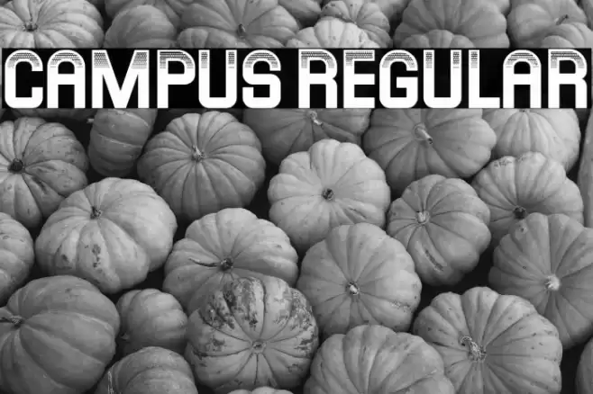 Campus Regular Font examples