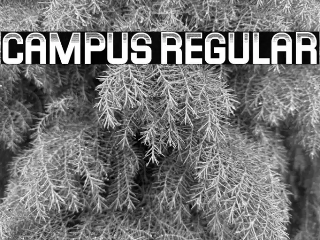 Campus Regular Font examples