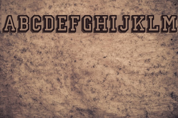 Campus Relief Font examples
