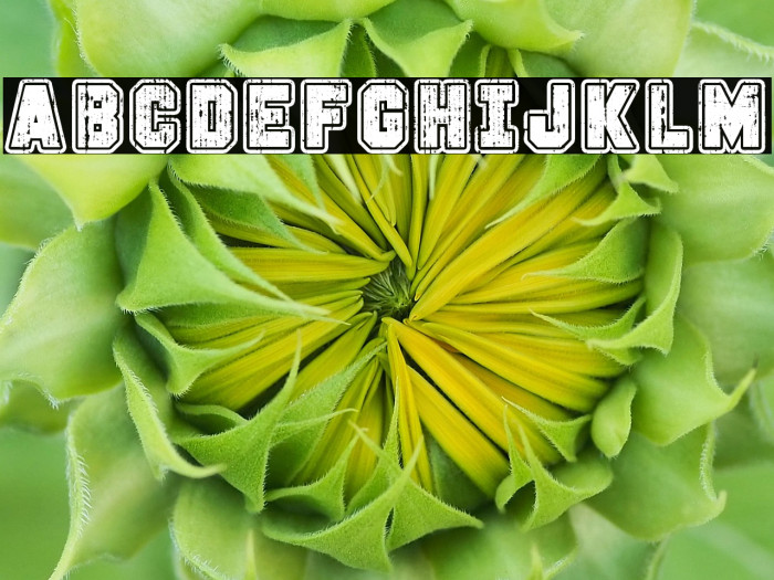 Campus Riot Example 3