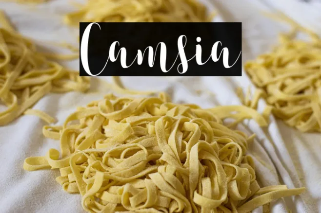 Camsia Example 2