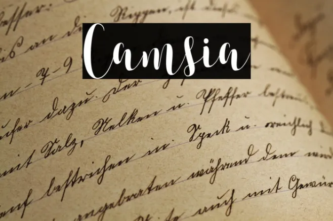 Camsia Example 3