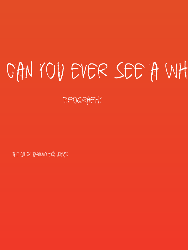 Can you ever see a whole circle Poster