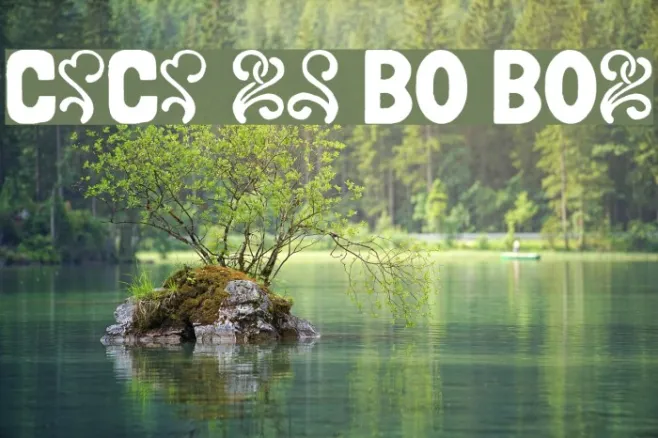 CanCan de Bois Bold Example 2