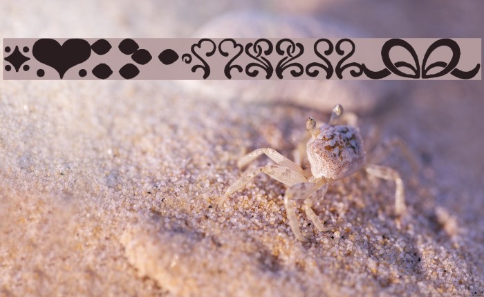 CanCan de Bois Example 2