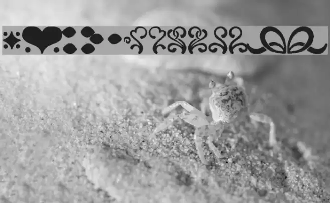 CanCan de Bois Font examples