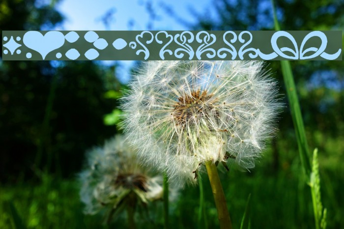 CanCan de Bois Example 3