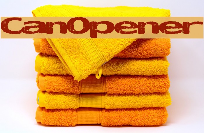 CanOpener Font examples