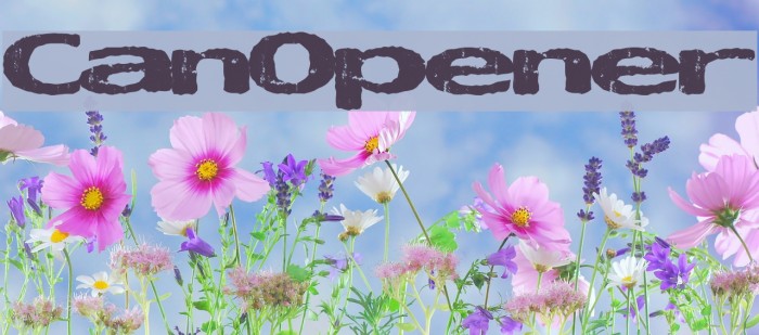 CanOpener Font examples