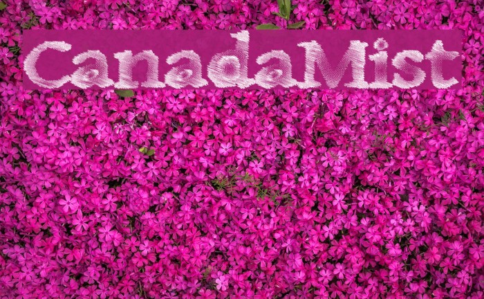 CanadaMist Example 3