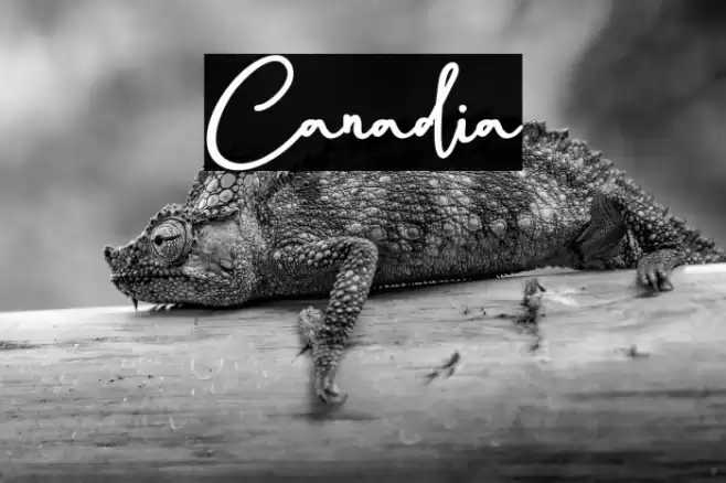 Canadia Font examples