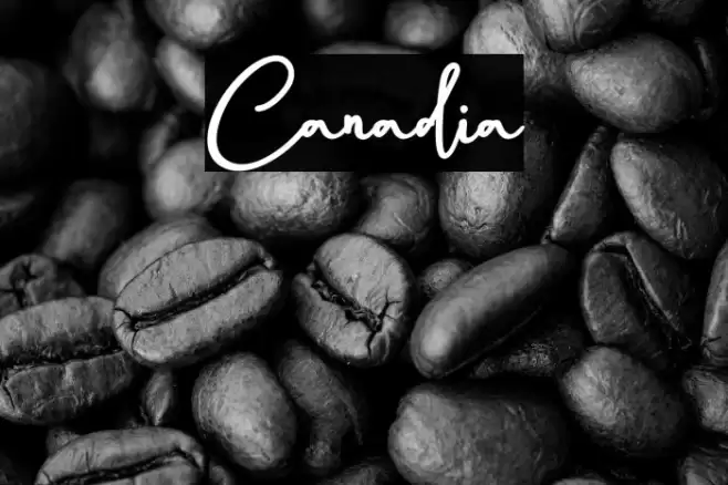 Canadia Font examples