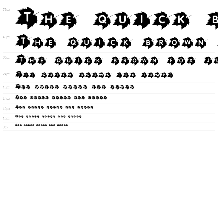 Canadian Autumn Waterfall