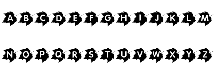 Canadian Autumn Font LOWERCASE
