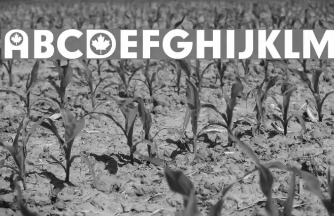 Canadian Participants Font examples