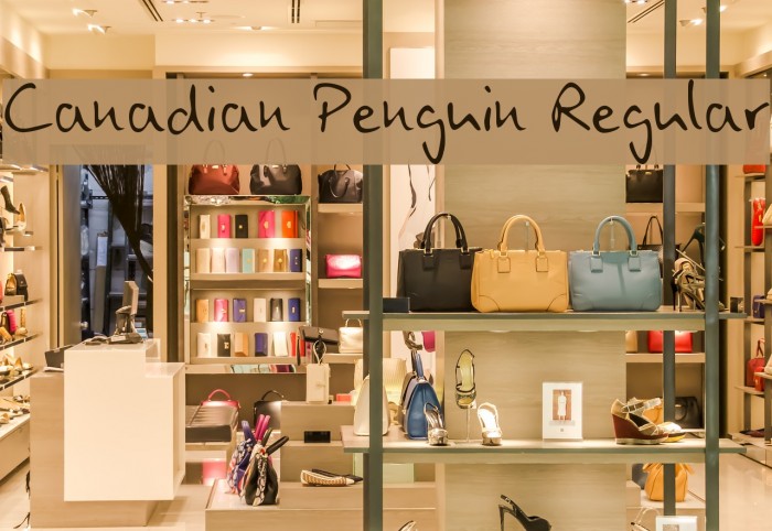 Canadian Penguin Regular Font examples