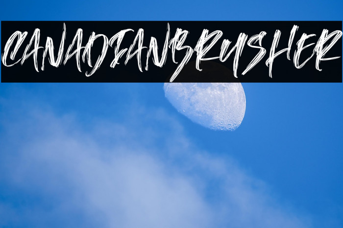 CanadianBrusher Example 1