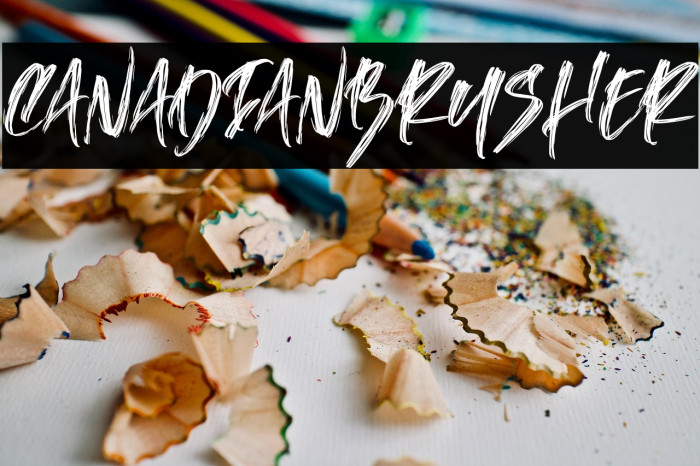 CanadianBrusher Example 3