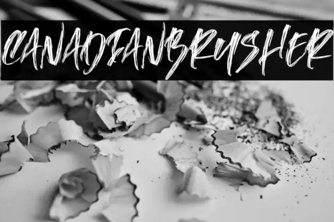 CanadianBrusher Font examples