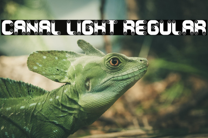 Canal Light Regular Font examples