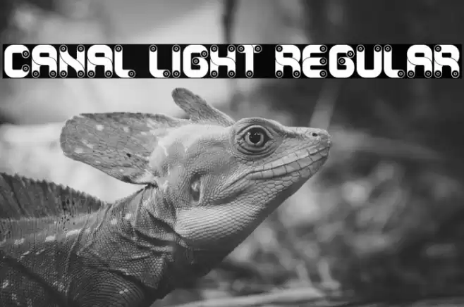 Canal Light Regular 字体 examples