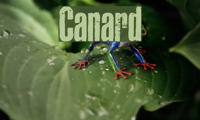 Canard Example 1