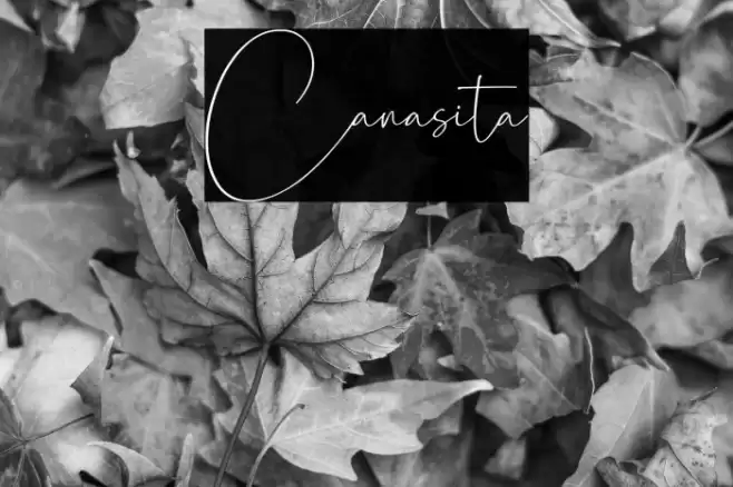 Canasita Font examples