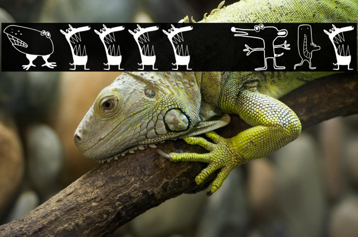 Canavarlar Regular Example 1