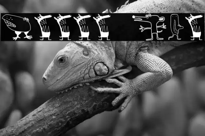 Canavarlar Regular Font examples