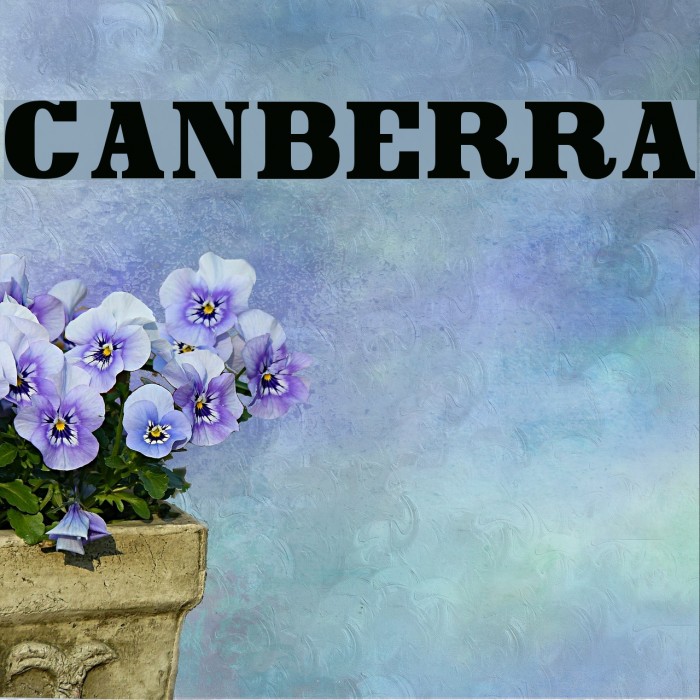 Canberra Font examples