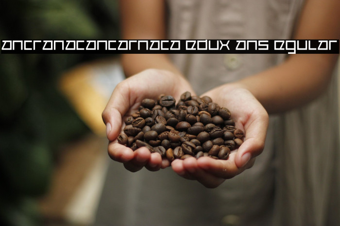 Cancranacancarnaca Redux: Sans Regular Example 2