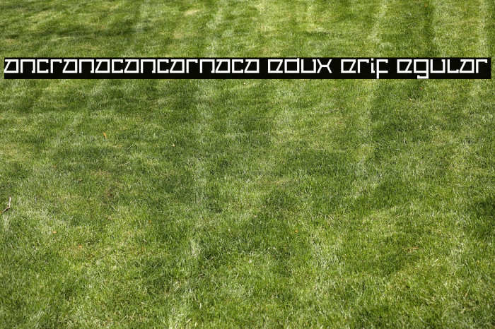 Cancranacancarnaca Redux: Serif Regular Example 1