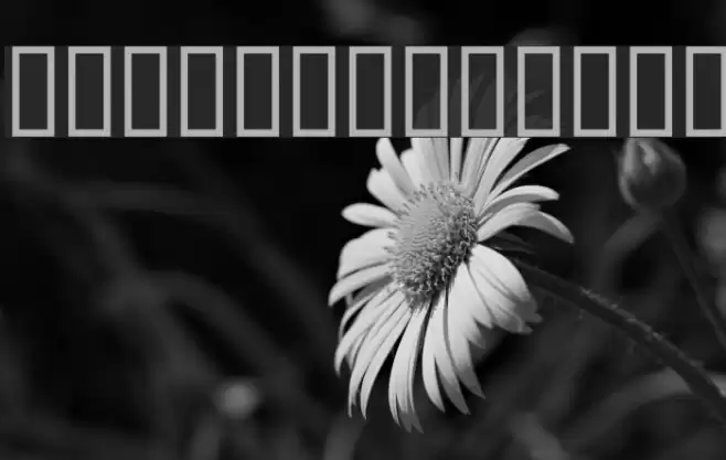 Cancun Siesta Font examples