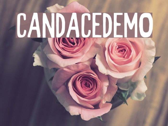 CandaceDemo Font examples
