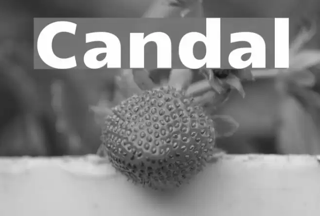 Candal Font examples