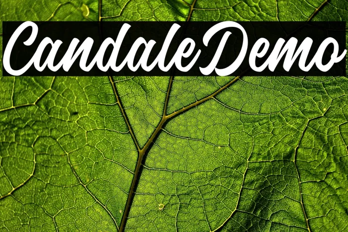 Candale Demo Example 1