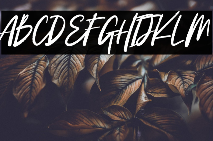 Candaleya Personal Use Example 2