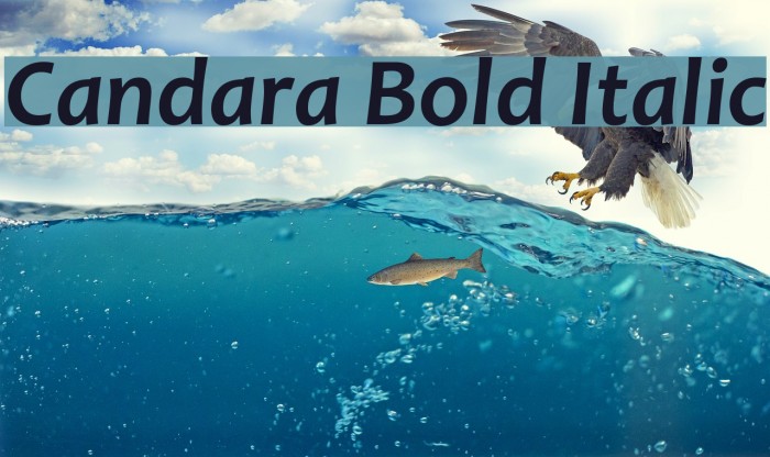 Candara Bold Italic Example 1