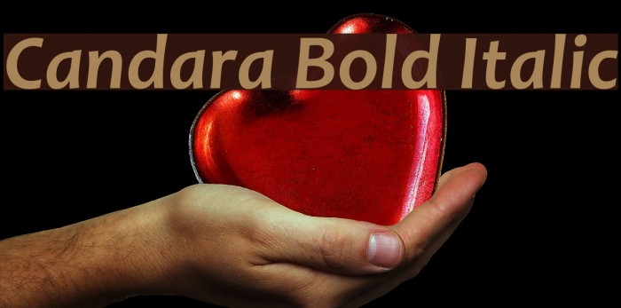 Candara Bold Italic Example 2