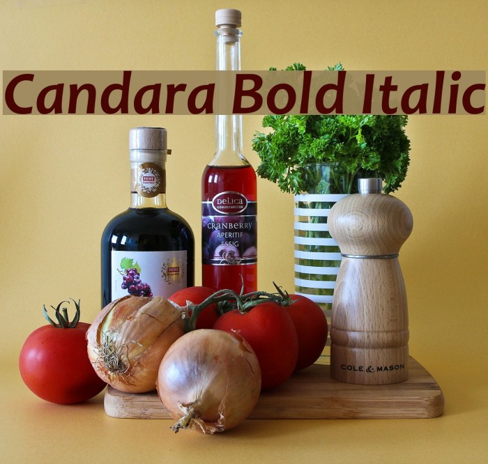 Candara Bold Italic Example 3